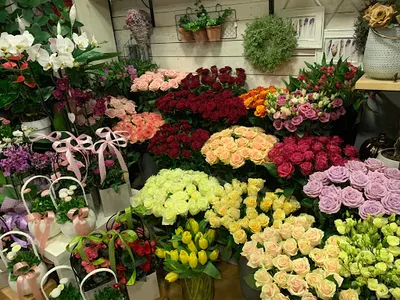 Kwiaciarnia Atmosfera